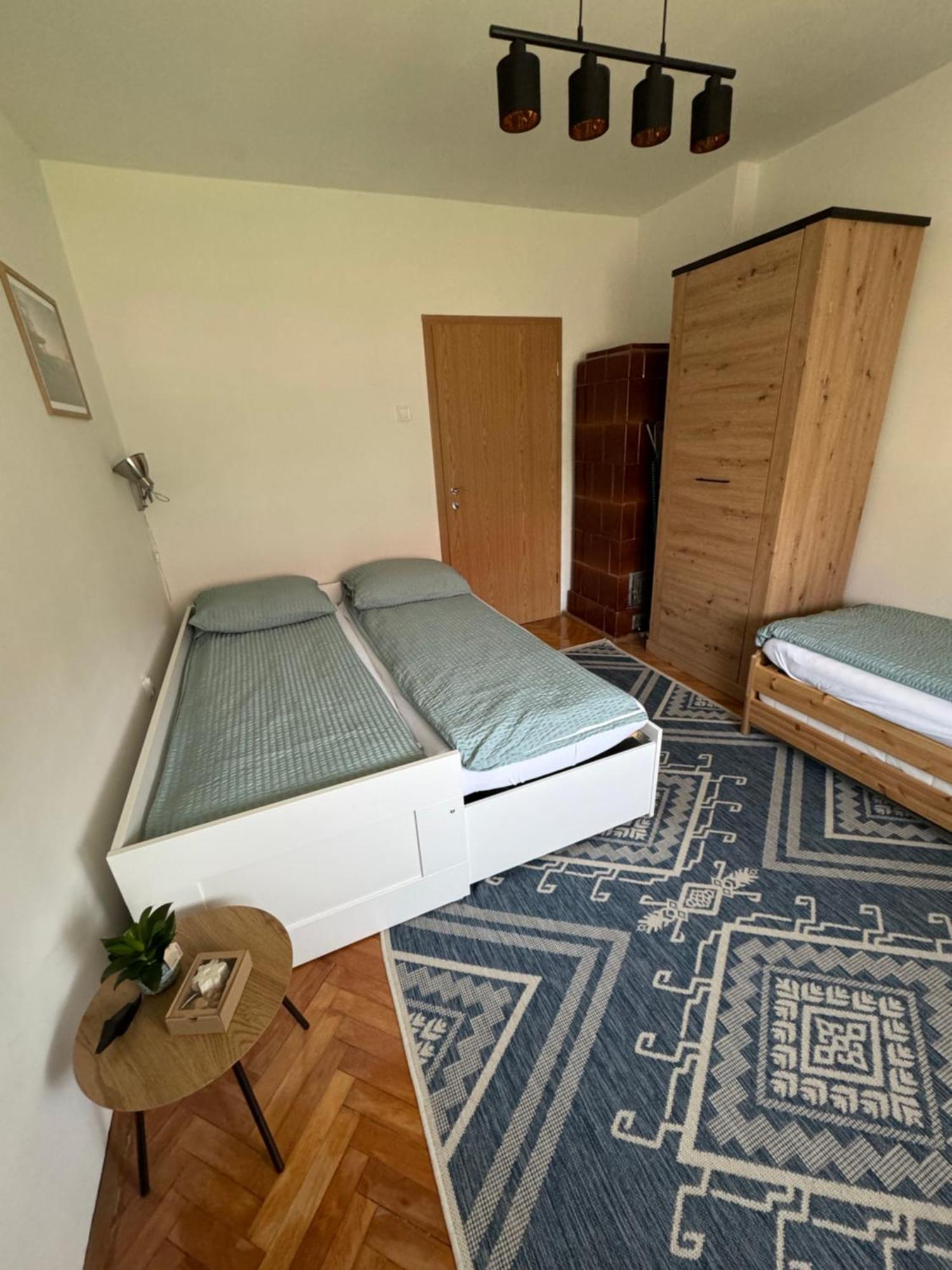 Lynx And Fox Self Check-In Free Parking Apartment 代尔尼采 外观 照片